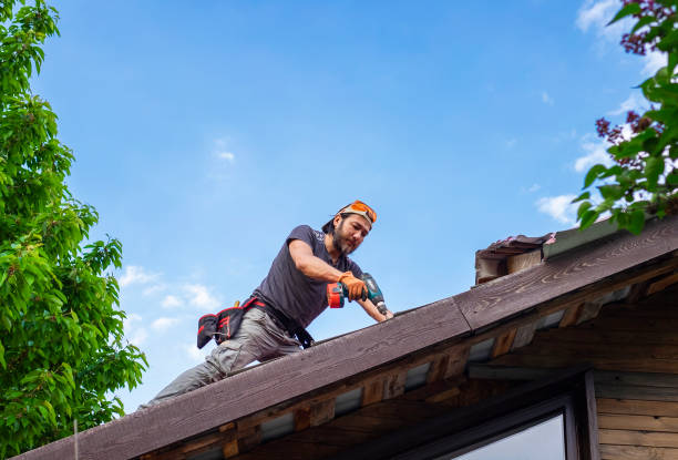 Best Roof Maintenance and Cleaning  in Valencia West, AZ